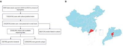 Transmission of Mycobacterium tuberculosis in schools: a molecular epidemiological study using whole-genome sequencing in Guangzhou, China